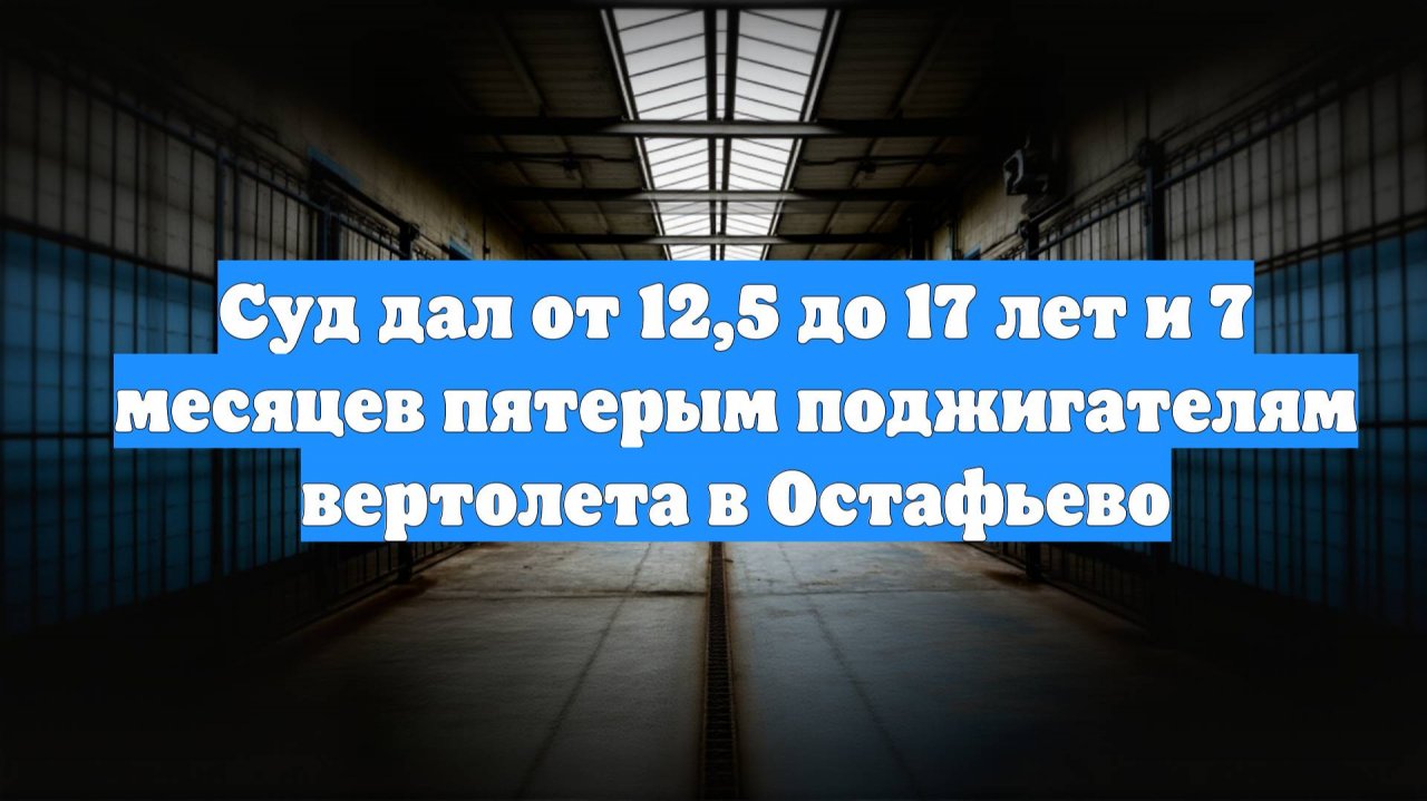 Суд дал от 12,5 до 17 лет и 7 месяцев пятерым поджигателям вертолета в Остафьево