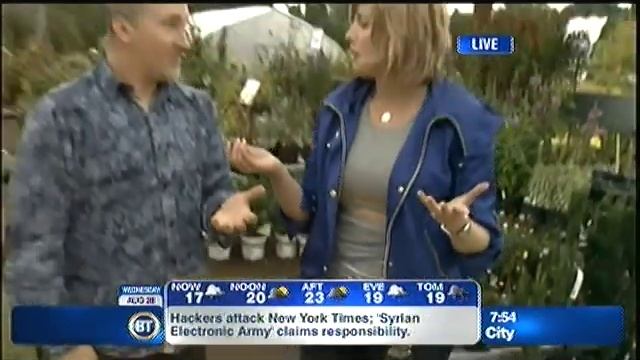 Yellow Pear Heirloom Tomato & Health Benefits (Spot 3) -- Breakfast Television at Phoenix Perennial смотреть онлайн