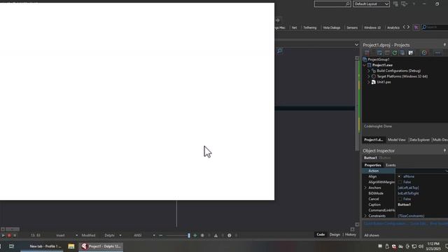 Setting up The Delphi IDE (The Bitmaster Way)