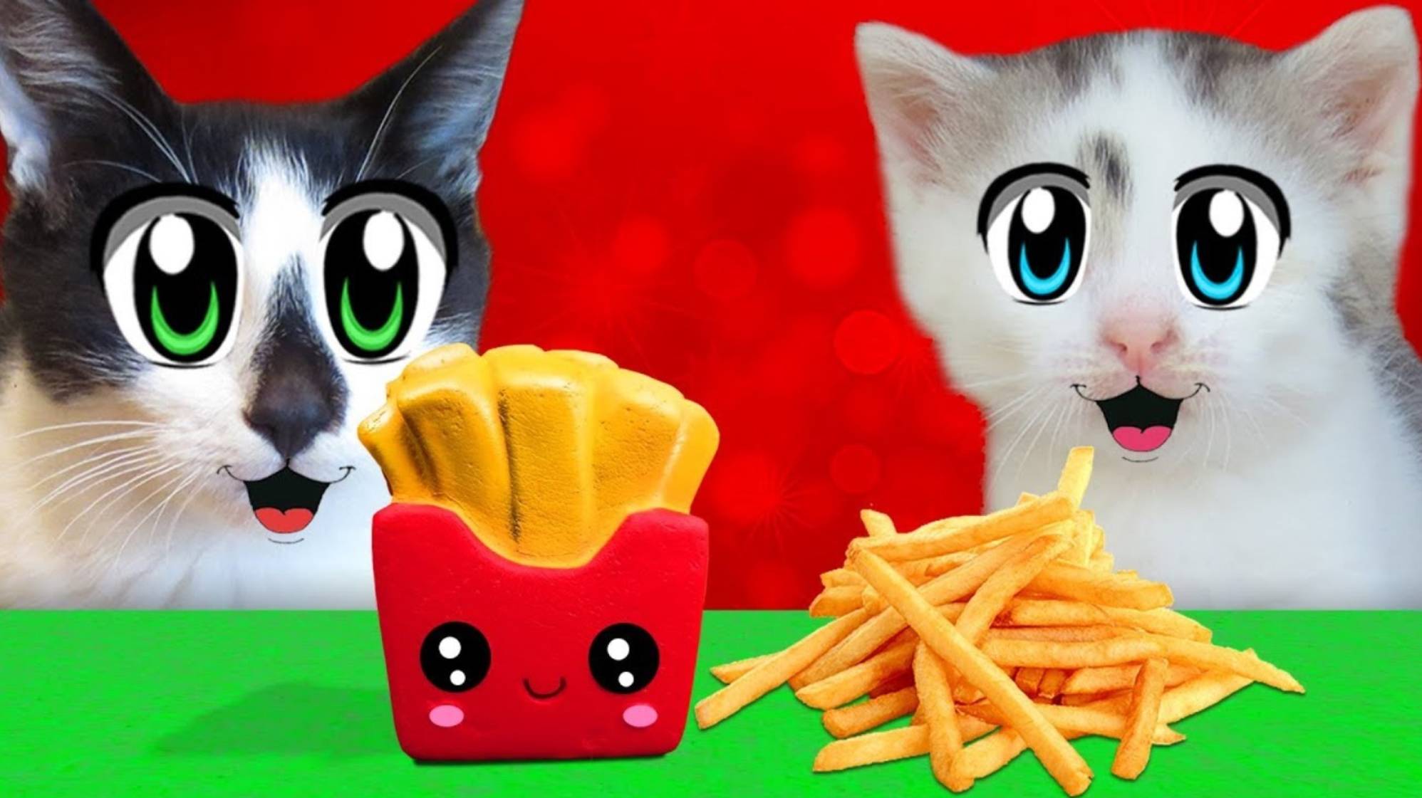 АНТИСТРЕСС VS ЕДА! КОТ и КОШЕЧКА МУРКА и Squishy Food VS REAL FOOD CHALLENGE | А ну-ка давай-ка