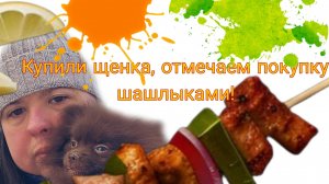 Купили щенка