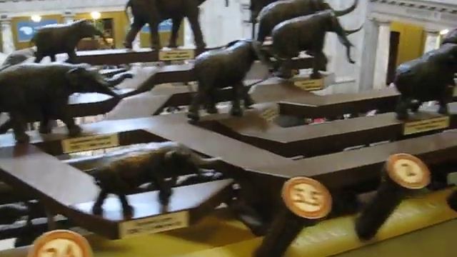 Evolution of the Elephant смотреть онлайн