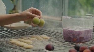 Как вялить, мочить и сушить сливу - Сад-огород