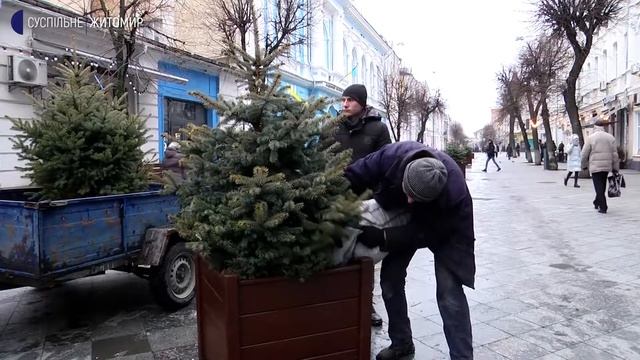 У Житомирі на Михайлівській встановили ялинки у діжках смотреть онлайн