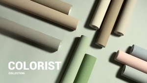 Коллекция Colorist