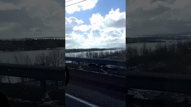 поехали в Маганск за новыми птичками