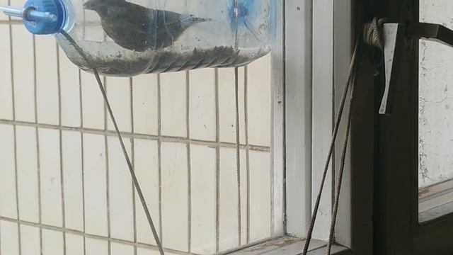 Зеленушки - 6 смотреть онлайн