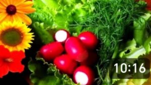 Деревня. Неужели мы нашли своего кота? Опять дождь мешает нам полоть.