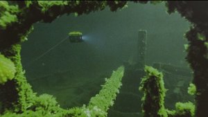 Поднятые со дна Карского моря экспонаты представили на выставке в Тюмени