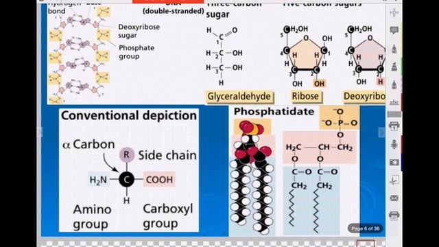 Lesson 2 - Chemistry of Life смотреть онлайн