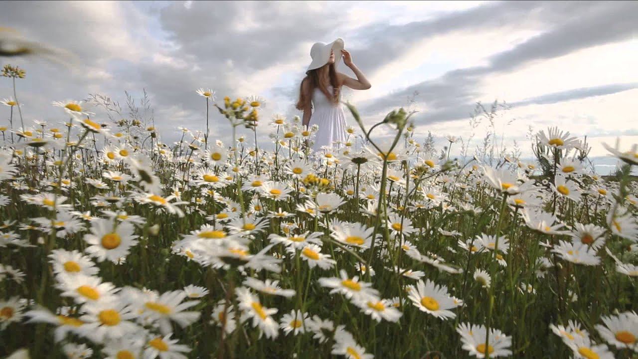 Ромашки смотреть онлайн