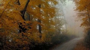 ЗВУКИ ОСЕНИ 1