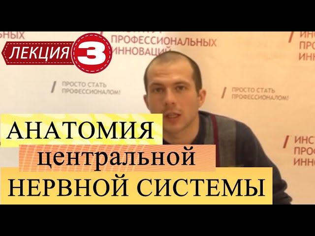 Анатомия центральной нервной системы. Лекция 3. Продолжение ткани и органы. Развитие ЦНС филогенез.