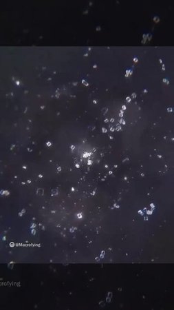 Погружение в бутылку с водой
