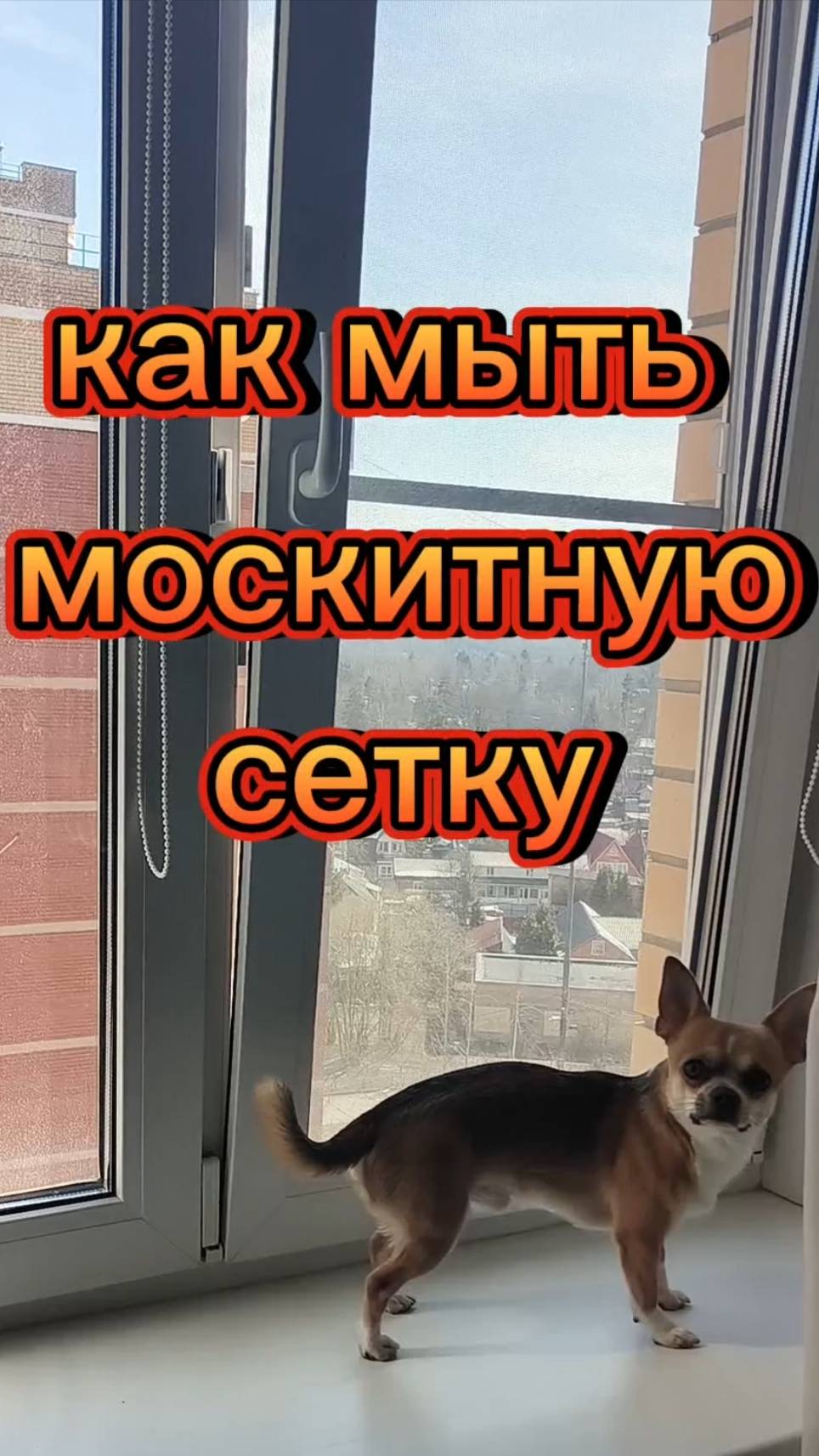 Москитная сетка - как мыть москитную сетку.
#москитнаясетка #ремонтокон