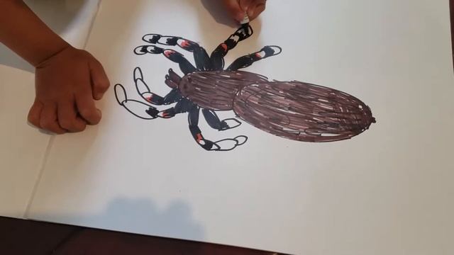How to draw a tarantula смотреть онлайн