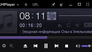 1 Вводная информация Ольга Хмелькова