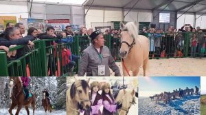 Конный двор "Алмакай"