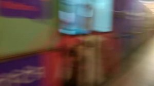 Тематический поезд 81-740 Русич "Хвосты и лапки" (везём домой) отправляется со станции Киевская АПЛ