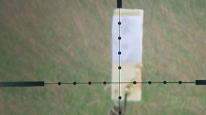 3 пневматика ( air gun ) Крикет ( Cricket ) 5.5 100 мет..MOV