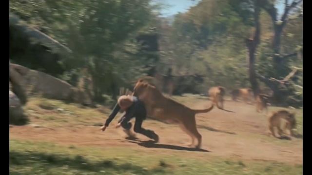 "Roar": The Most Dangerous Film Ever Made~ History from Home