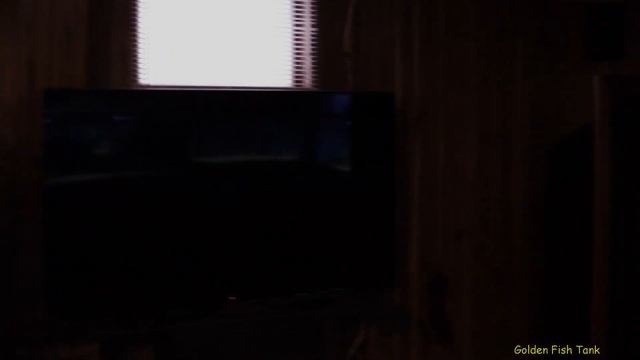 Caribe Piranha room update! one less tank! смотреть онлайн