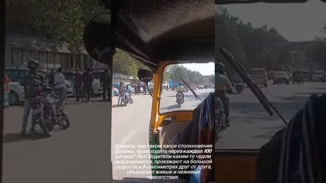 Индия. Дели. дикарем Рамиль и Эльвира