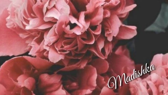 Хаз Локх 🤩 Хилахьа Соьца - Илона Ахматова 2018 💣❤ смотреть онлайн