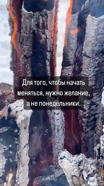 #цитатысосмыслом #мудрыецитаты #словасосмыслом #мудрыеслова #цитатыожизни #мудрыесоветы #цитатадня