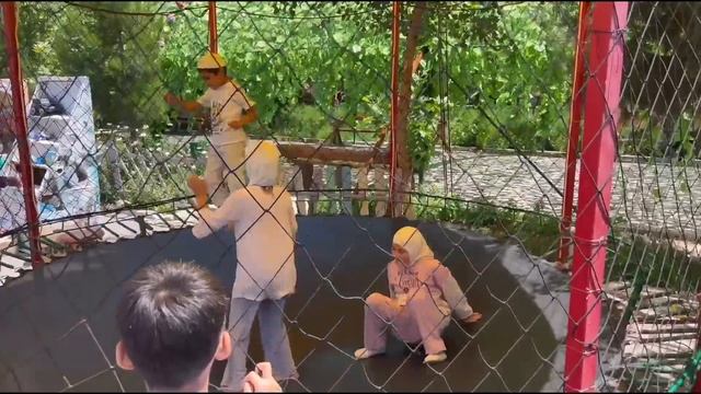 ШОШИЛИНЧ НОННИ НАРХИ ОШТИ ХАЛҚ НОРОЗИ, БУ ИФЛОСНИ ХАЙВОН КАРАНГ БАРИБИР ХАЙВОНАКАНТА ХАЙВОНОТ БОҒИ. смотреть онлайн