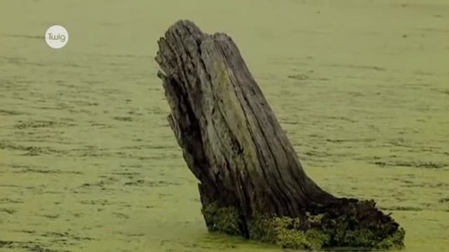 Загрязнение воды смотреть онлайн