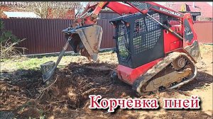 Выкорчевывание пней на участке