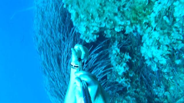 Классно снятый нырок селфипалкой на 12м смотреть онлайн