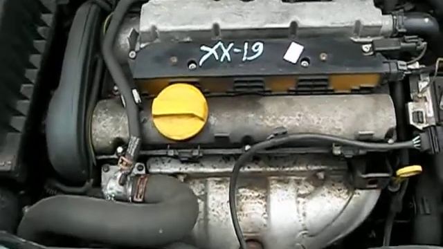 XX-19.AVI смотреть онлайн