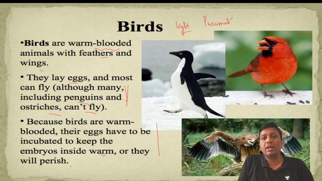 Science & Technology | L14.Biology: Animal Classification- Vertebrates | Ravi P Agrahari | IAS Icon смотреть онлайн