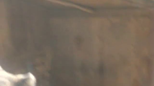 Медведица Даша смотреть онлайн