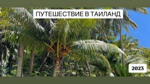 Путешествие в Таиланд | 2023