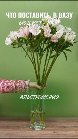 Что поставить в вазу в зависимости от бюджета?