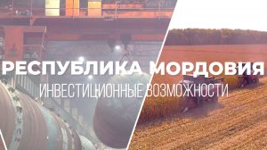 Инвестиционный потенциал Республики Мордовия