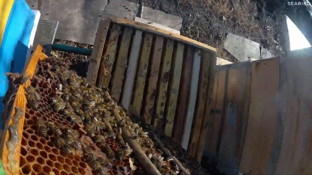 30 октября, взяток продолжается ?! смотреть онлайн