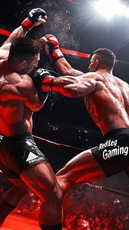 EA SPORTS UFC - Stand and Bang