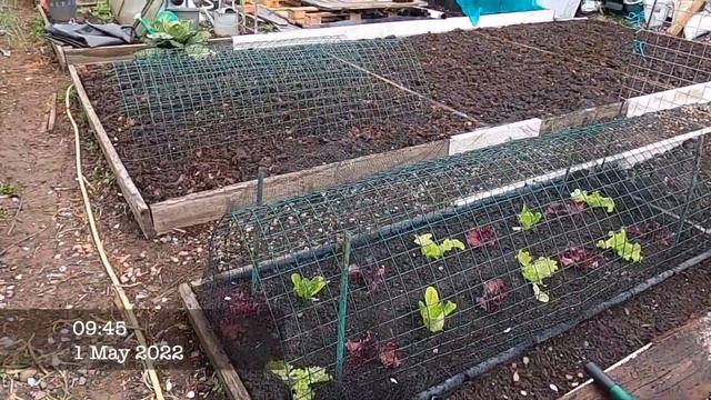 🌻285 🌻 PLANTING HANGING BASKETS 🌻 PREPARING RAISED BEDS 🌻