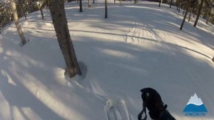 Line Sir Francis Bacon Review | Ski Review | AlpineZone