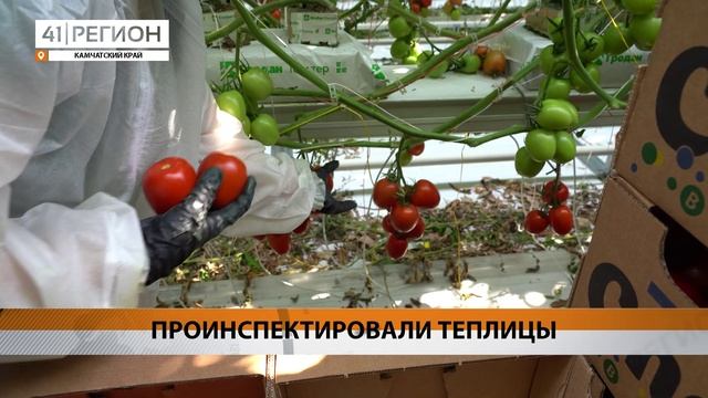 ГУБЕРНАТОР КАМЧАТКИ ПОКАЗАЛ ЮРИЮ ТРУТНЕВУ НОВЫЙ ТЕПЛИЧНЫЙ КОМПЛЕКС • НОВОСТИ КАМЧАТКИ