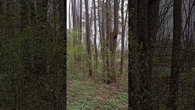 Не выбирай красивую смотреть онлайн