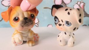 LPS - 10 Things I HATE about CANCER!