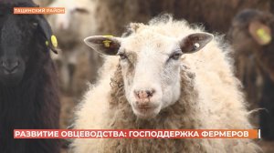 Хозяйство в Тацинском районе планирует расширяться при помощи господдержки