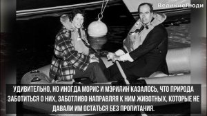 История выживание в океане