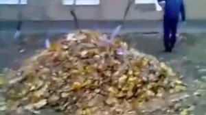 Как правильно разводить костер