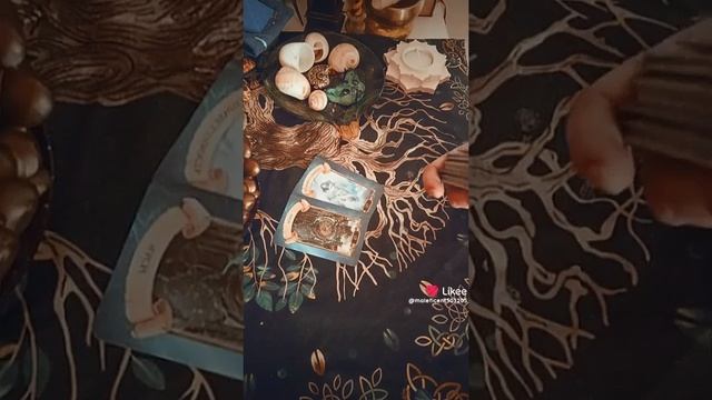 Крысы покинут ваш корабль !
